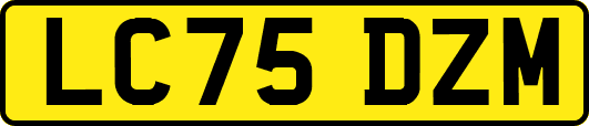 LC75DZM