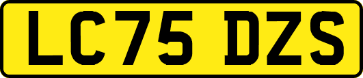 LC75DZS