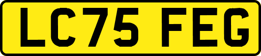 LC75FEG