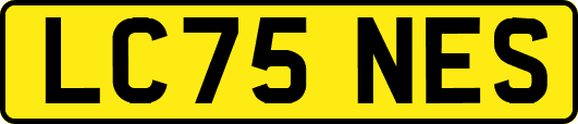 LC75NES