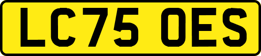 LC75OES
