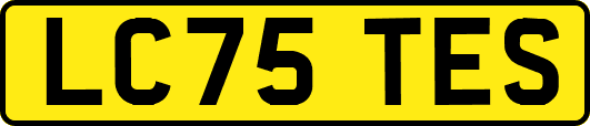 LC75TES