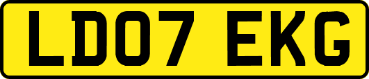 LD07EKG