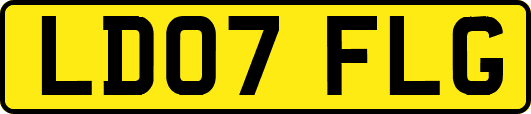 LD07FLG