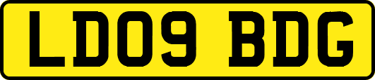 LD09BDG