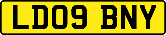 LD09BNY