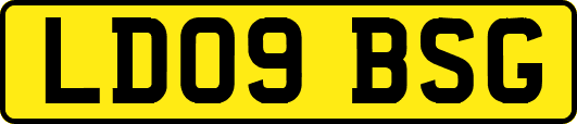 LD09BSG