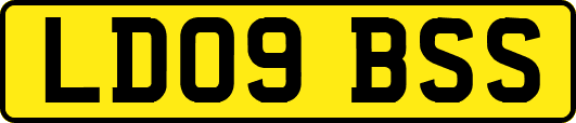 LD09BSS