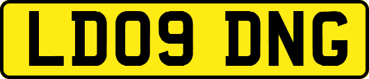LD09DNG