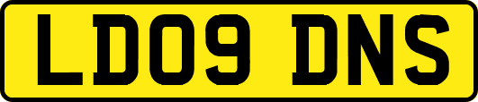 LD09DNS