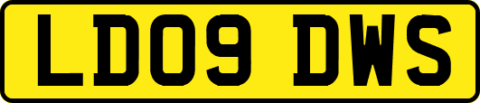 LD09DWS