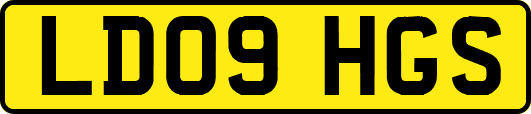 LD09HGS