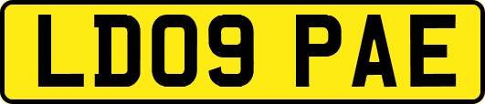 LD09PAE