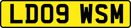 LD09WSM