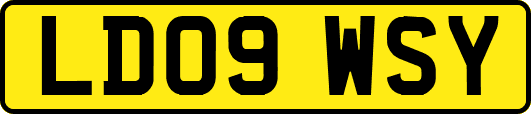 LD09WSY