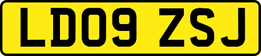 LD09ZSJ