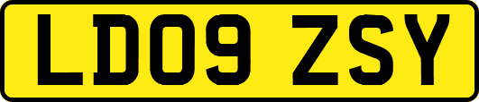 LD09ZSY