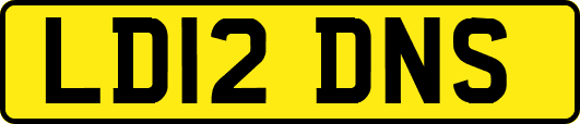 LD12DNS