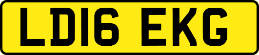 LD16EKG