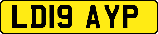 LD19AYP