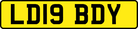 LD19BDY