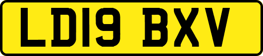 LD19BXV