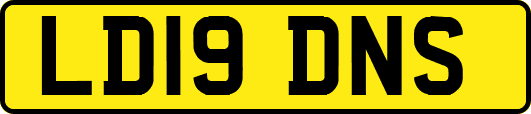 LD19DNS