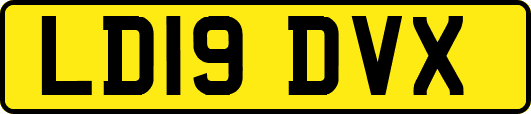 LD19DVX