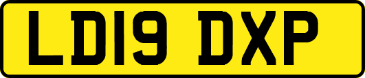 LD19DXP