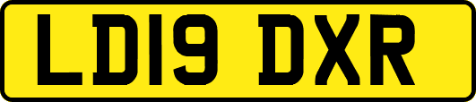 LD19DXR
