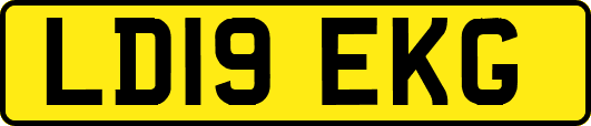 LD19EKG