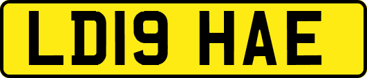 LD19HAE