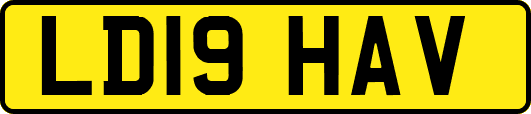 LD19HAV