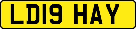 LD19HAY