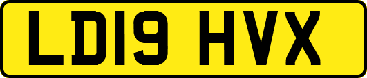 LD19HVX