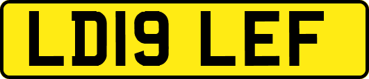 LD19LEF