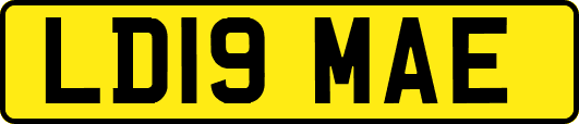 LD19MAE