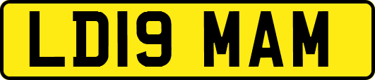 LD19MAM