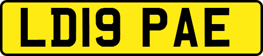 LD19PAE