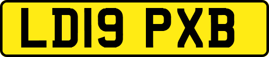 LD19PXB