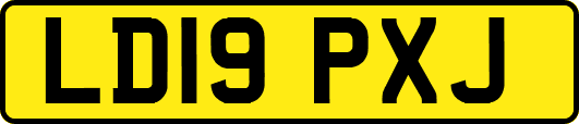 LD19PXJ