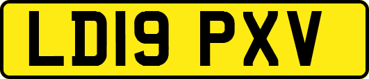 LD19PXV