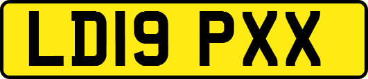 LD19PXX