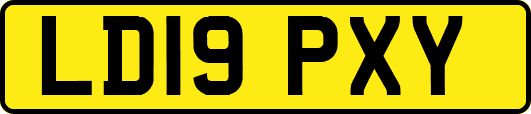 LD19PXY