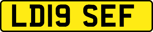 LD19SEF