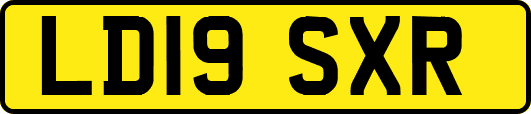 LD19SXR
