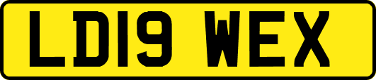LD19WEX