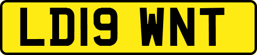 LD19WNT