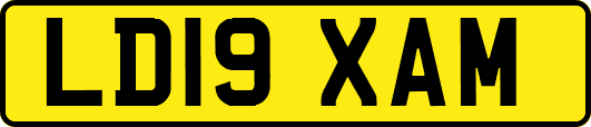 LD19XAM