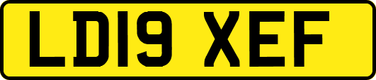 LD19XEF